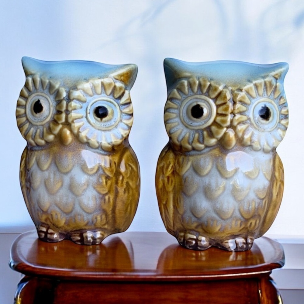 Owl Salt and Pepper Shaker Set Glazed Ceramic Hand Painted Owl Decor 2 Piece Set